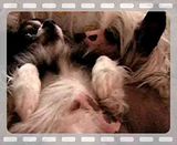th_7f138451.jpg?videoplayer=offsite